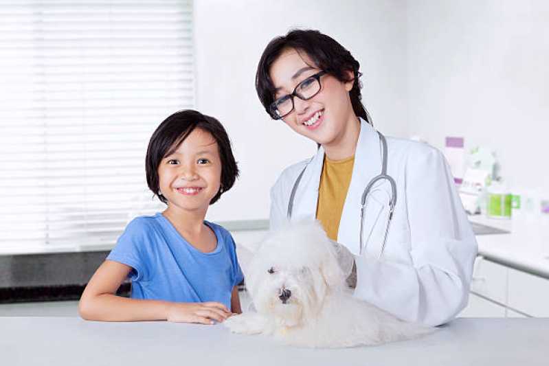 Atendimento para Cães Marcar São Miguel - Atendimento de Ortopedista Veterinário