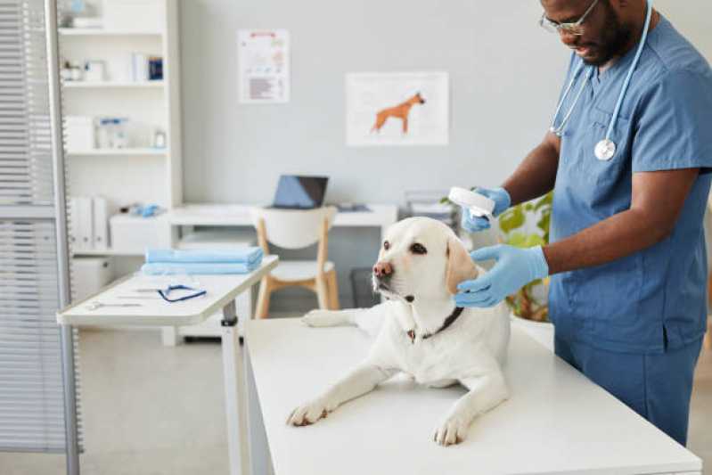 Clínica Especializada em Atendimento para Cães Potecas - Atendimento Veterinário de Ortopedista