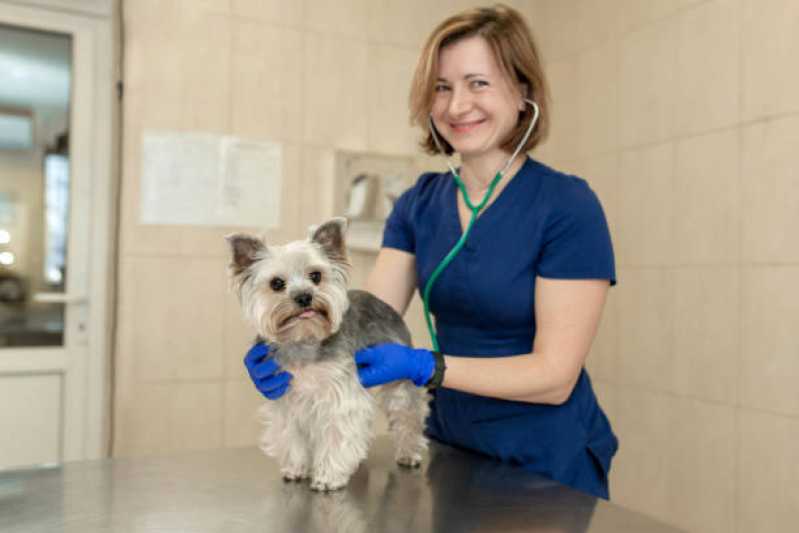 Clínica Especializada em Atendimento Veterinário para Animais Domésticos Jardim Carandai - Atendimento Dermatológico Veterinário