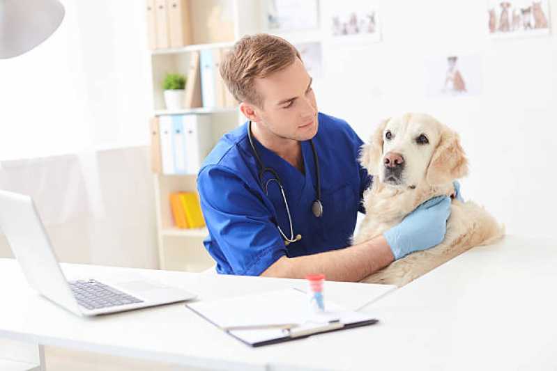 Clínica Veterinária para Animais Exóticos Telefone Fundos - Clínica Veterinária Mais Próxima