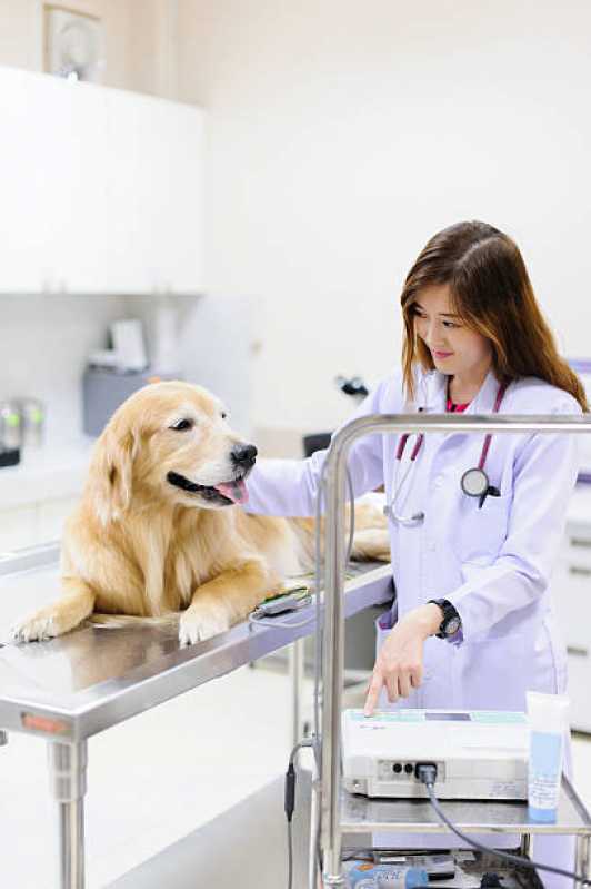 Contato de Clínica Veterinária Próximo a Mim Serraria - Clínica Veterinária Especializada em Cães e Gatos