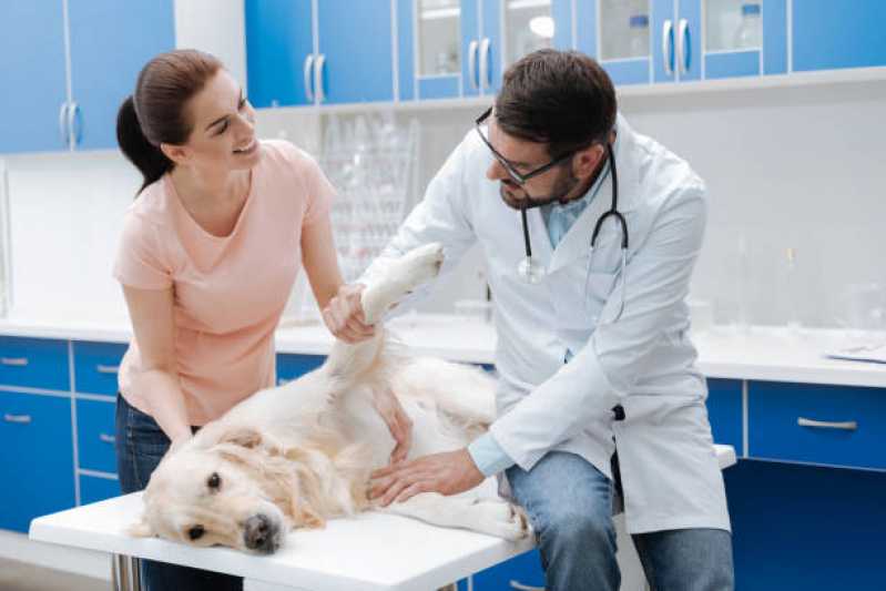 Endereço de Clínica Veterinária Especializada em Cães e Gatos Canelinha - Clínica Veterinária Próxima