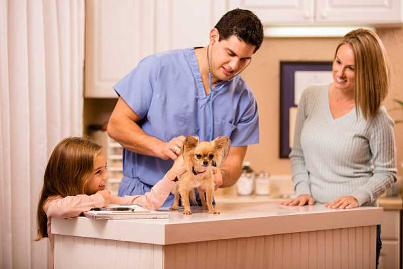 Endereço de Clínica Veterinária Especializada em Gatos e Cachorros Trindade - Clínica Veterinária de Cães e Gatos