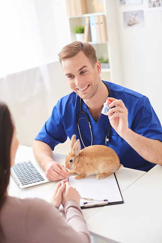 Endereço de Clínica Veterinária para Animais Exóticos Universitário - Clínica Veterinária Próximo a Mim