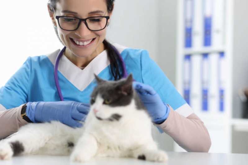 Endereço de Clínica Veterinária Centro - Clínica Veterinária de Cães e Gatos