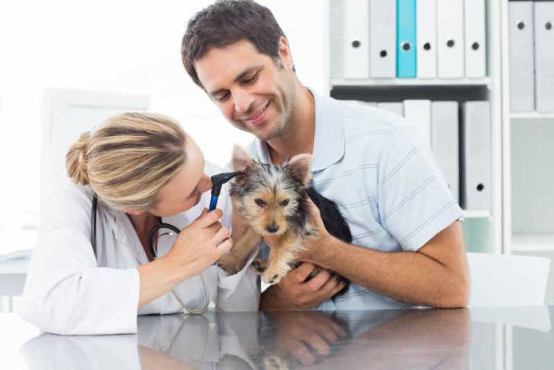 Onde Marcar Consulta Veterinária Cachorros Coqueiros - Consulta Veterinária para Animais São José