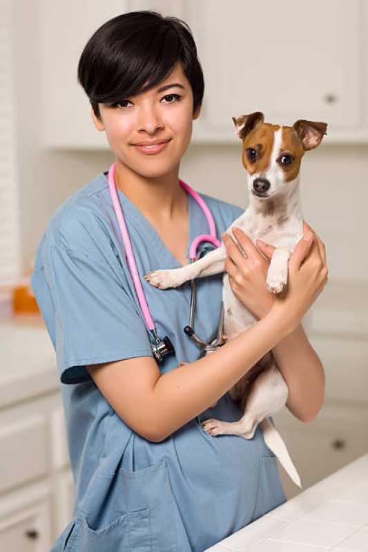 Onde Marcar Consulta Veterinária para Cachorro Tossindo Centro - Consulta Veterinária para Animais Biguaçu