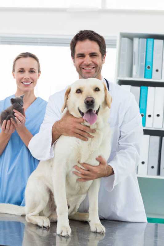 Onde Tem Veterinários Dermatologistas Canto - Veterinário para Animais de Estimação