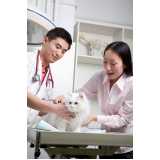 clínica especializada em atendimento veterinário a domicílio Centro