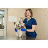 clínica especializada em atendimento veterinário para animais domésticos Saudade