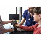 consulta veterinária para cachorro vomitando agendar Picadas do Sul
