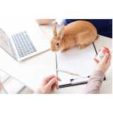 contato de clínica veterinária para animais exóticos Estreito