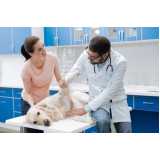 endereço de clínica veterinária especializada em cães e gatos Pedra Branca