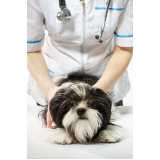 endereço de veterinário para cachorros Centro