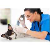 onde agendar consulta veterinária para animais Carianos