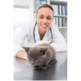 onde agendar veterinário para felinos Bom Viver