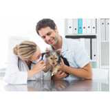 onde marcar consulta veterinária cachorros Areias