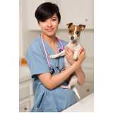 onde marcar consulta veterinária para cachorro tossindo Centro