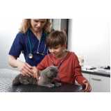 veterinário de felinos Passa Vinte