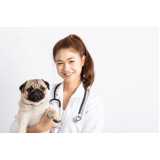 veterinário para cachorros telefone Bairro Universitário