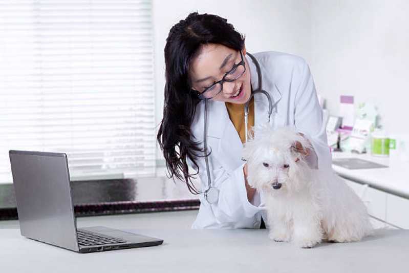 Veterinário com Atendimento a Domicílio Joaia - Veterinário para Cães