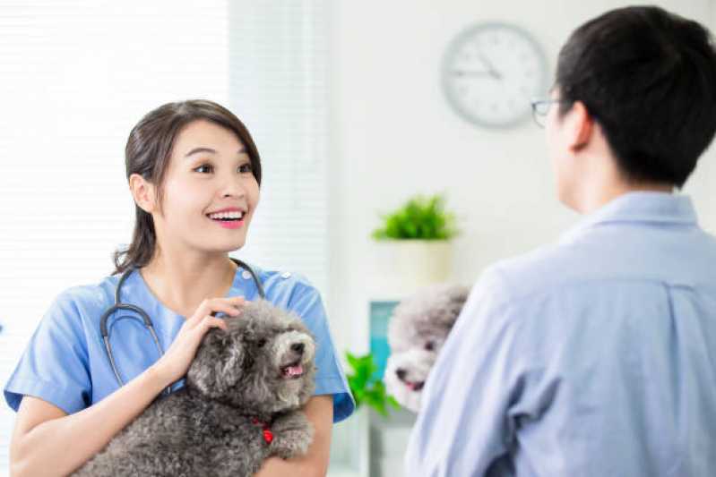 Veterinário para Cães Trindade - Veterinários Ortopedistas