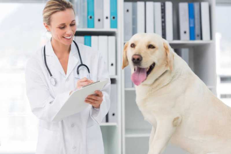 Veterinários Endocrinologistas Marcar Jardim Janaína - Veterinário para Cães